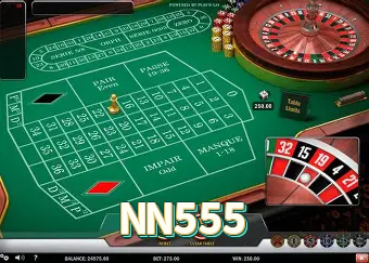 NN555 Logo Verificado