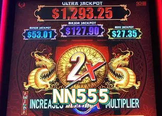 Instalador NN555 Windows
